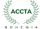 accountant logo image